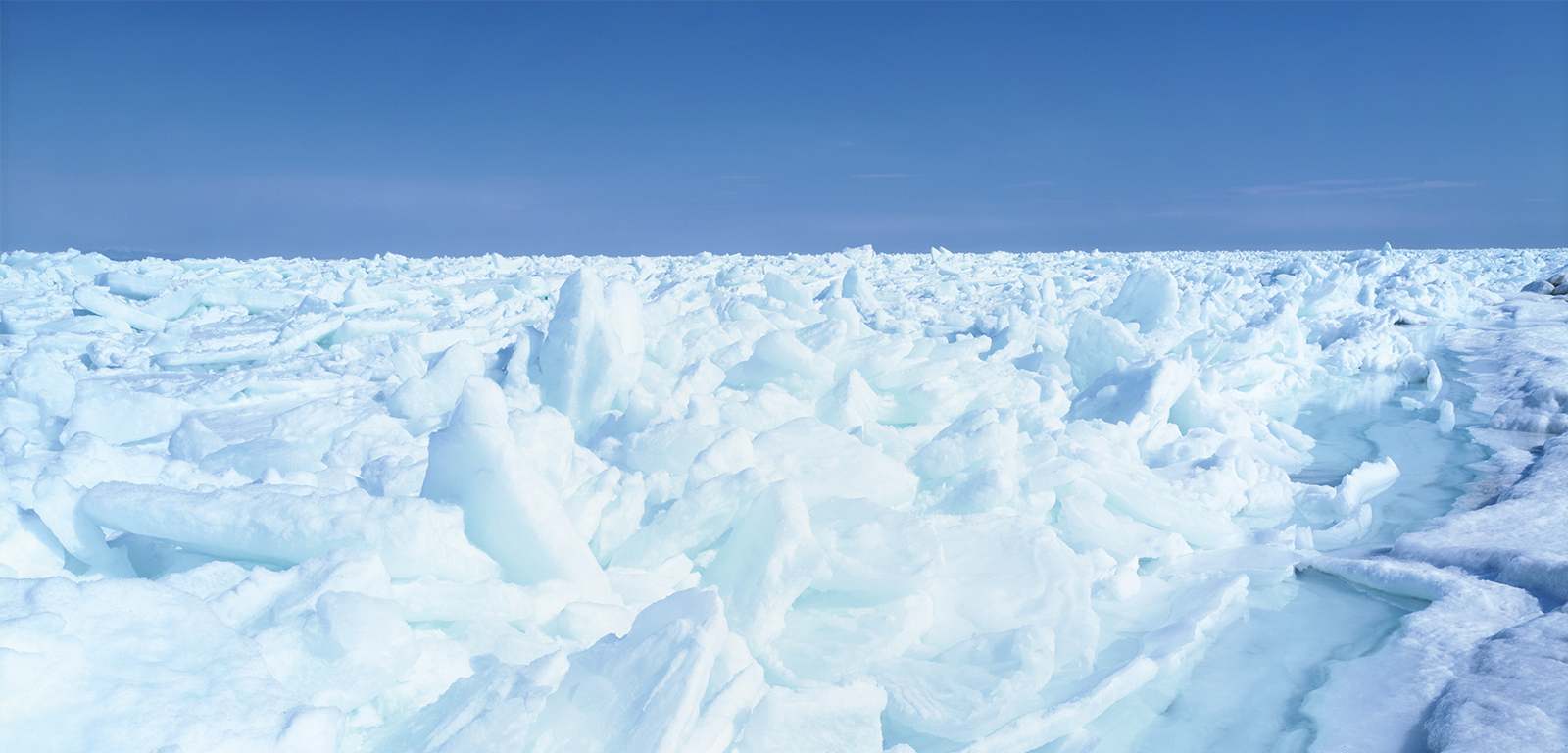 北海道イメージ画像5